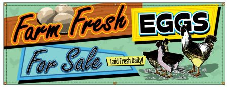 Fresh Eggs For Sale Retro banner image