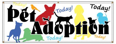 Pet Adoption Today banner image