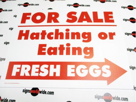 For Sale Hatching Eggs Right Arrow