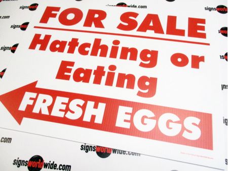 For Sale Hatching Eggs Left Arrow